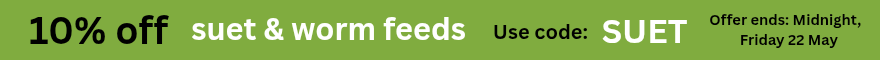 Discount offer banner image